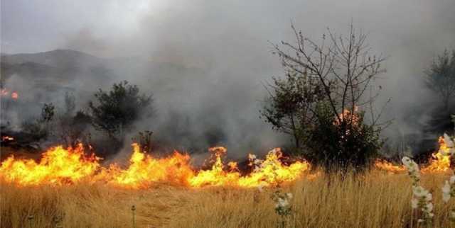 کشاورزان از آتش زدن کاه و کلش در مزارع خودداری کنند